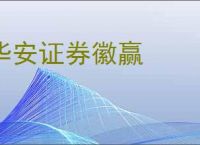 华安证券徽赢