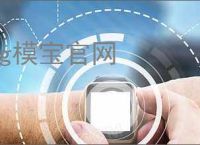 cg模宝官网