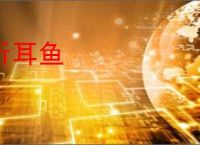 折耳鱼