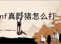 dnf真野猪怎么打