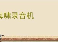 海啸录音机