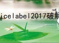 nicelabel2017破解版