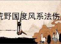 荒野国度风系法伤怎么玩,荒野国度风系法伤队搭配攻略