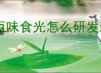 百味食光怎么研发新菜品,百味食光菜品研发方法