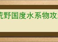 荒野国度水系物攻怎么玩,荒野国度水系物攻队搭配攻略