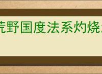 荒野国度法系灼烧怎么玩,荒野国度法系灼烧队搭配攻略