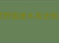 荒野国度水系法伤怎么玩,荒野国度水系法伤队搭配攻略