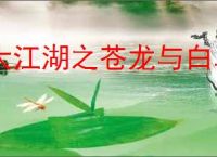 大江湖之苍龙与白鸟怎么完成临安斗子坊,临安斗子坊任务攻略
