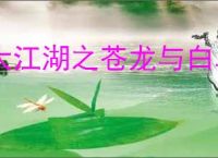 大江湖之苍龙与白鸟何文若有什么剧情,大江湖之苍龙与白鸟何文若剧情一览