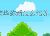 物华弥新怎么培养万工轿,物华弥新万工轿养成指南