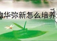 物华弥新怎么培养海水江崖炉,物华弥新海水江崖炉培养方法