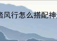 踏风行怎么搭配神通,踏风行神通搭配推荐