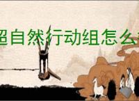超自然行动组怎么打大熊,超自然行动组大熊打法技巧