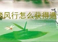 踏风行怎么获得造化,踏风行造化获取途径