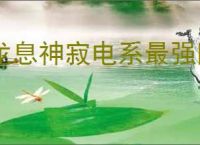 龙息神寂电系最强阵容推荐,龙息神寂电系最强阵容攻略