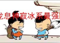 龙息神寂冰系最强阵容怎么搭配,龙息神寂冰系最强阵容推荐