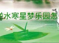 逆水寒星梦乐园怎么玩,逆水寒星梦乐园玩法攻略