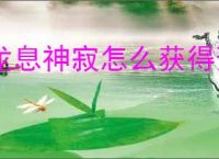 龙息神寂怎么获得预抽卡次数,龙息神寂预抽卡次数获取途径