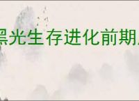 黑光生存进化前期用什么武器,黑光生存进化前期武器推荐