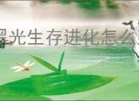 黑光生存进化怎么建房屋,黑光生存进化建屋流程