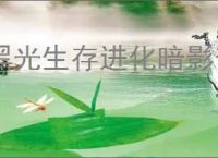 黑光生存进化暗影部落怎么样,黑光生存进化暗影部落介绍