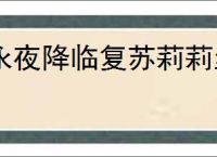 永夜降临复苏莉莉丝怎么搭配阵容,永夜降临复苏莉莉丝阵容推荐