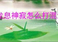 龙息神寂怎么打混沌聚影电,龙息神寂混沌聚影电打法攻略
