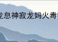 龙息神寂龙妈火毒队怎么玩,龙息神寂龙妈火毒队搭配推荐