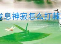 龙息神寂怎么打棘冰之主,龙息神寂棘冰之主打法技巧