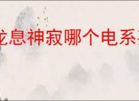 龙息神寂哪个电系英雄比较强,龙息神寂电系英雄推荐
