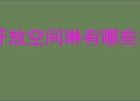 开放空间琳有哪些技能,开放空间琳技能升级攻略