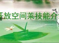 开放空间莱技能介绍说明,开放空间莱技能玩法攻略