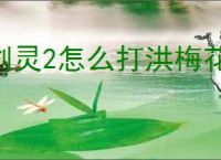 剑灵2怎么打洪梅花,剑灵2洪梅花打法技巧分享