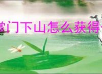 掌门下山怎么获得伙伴,掌门下山伙伴培养指南