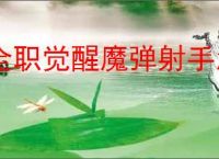 全职觉醒魔弹射手怎么玩,全职觉醒火枪手分支魔弹射手加点推荐