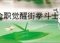 全职觉醒街拳斗士怎么玩,全职觉醒格斗家分支街拳斗士加点推荐