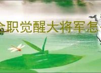 全职觉醒大将军怎么玩,全职觉醒火枪手分支大将军加点推荐