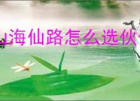 山海仙路怎么选伙伴与灵宠,山海仙路伙伴与灵宠推荐