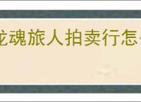 龙魂旅人拍卖行怎么玩,龙魂旅人拍卖行抢什么资源