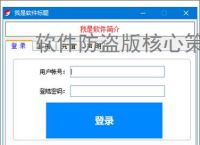 软件防盗版核心策略：五大防护技术解析