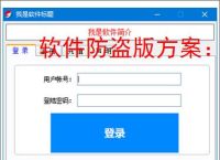 软件防盗版方案：保护开发者权益的必备措施