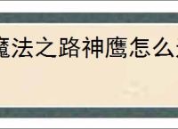 魔法之路神鹰怎么过3000层,魔法之路零氪神鹰3000层阵容推荐