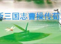 新三国志曹操传荀彧有哪些技能,新三国志曹操传荀彧阵容推荐