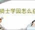 龙骑士学园怎么获得宠物,龙骑士学园宠物获取途径汇总