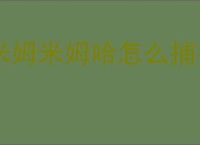 米姆米姆哈怎么捕捉四种属性稀有词条,米姆米姆哈稀有词条获取指南