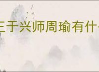王于兴师周瑜有什么技能,王于兴师周瑜技能机制一览