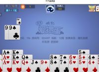 天天爱掼蛋微信小程序记牌器电脑版
