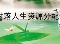 村落人生资源分配位置分享,村落人生不同资源分配区域