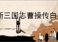 新三国志曹操传白虎副本第一关攻略,新三国志曹操传四象白虎第一关怎么过
