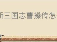 新三国志曹操传怎么获得锻体药材,新三国志曹操传锻体术升级攻略
